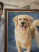 For the Love of Your Pet